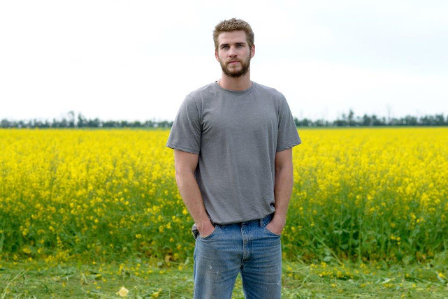 Dwayne McLaren (Liam Hemsworth) arbeitet als Automechaniker im Örtchen Cut Bank. (© Koch Media)