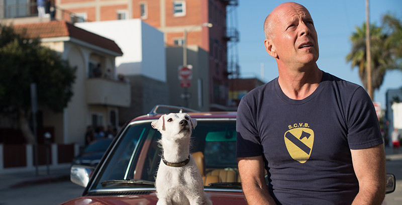 Der Ex-Polizist und Privatdetektiv Steve Ford (Bruce Willis) führt ein chilliges Leben in Venice Beach. (© KSM Film)