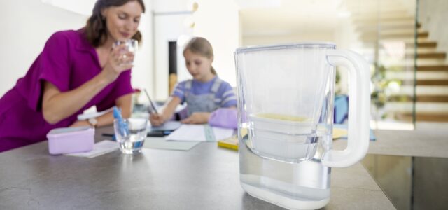 Nachhaltigkeit im Vordergrund: Wasserfilterkanne WFP 12 von Kärcher